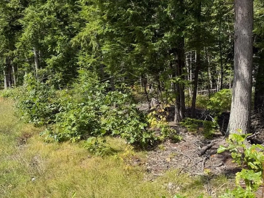 Pine Street Hopkinton NH 03229