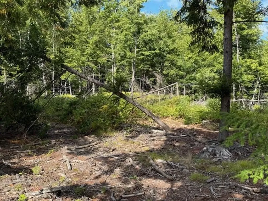 Pine Street Hopkinton NH 03229