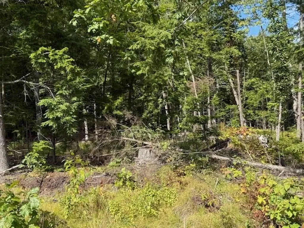 Pine Street Hopkinton NH 03229