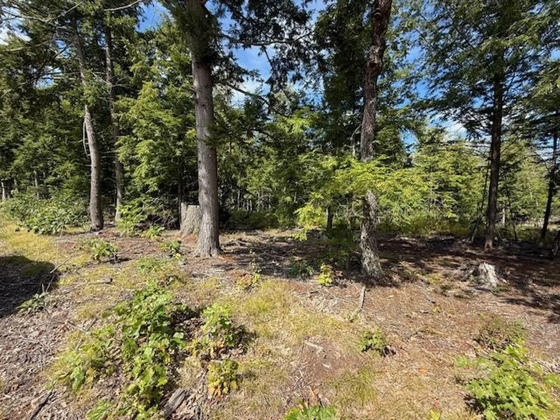 Pine Street Hopkinton NH 03229