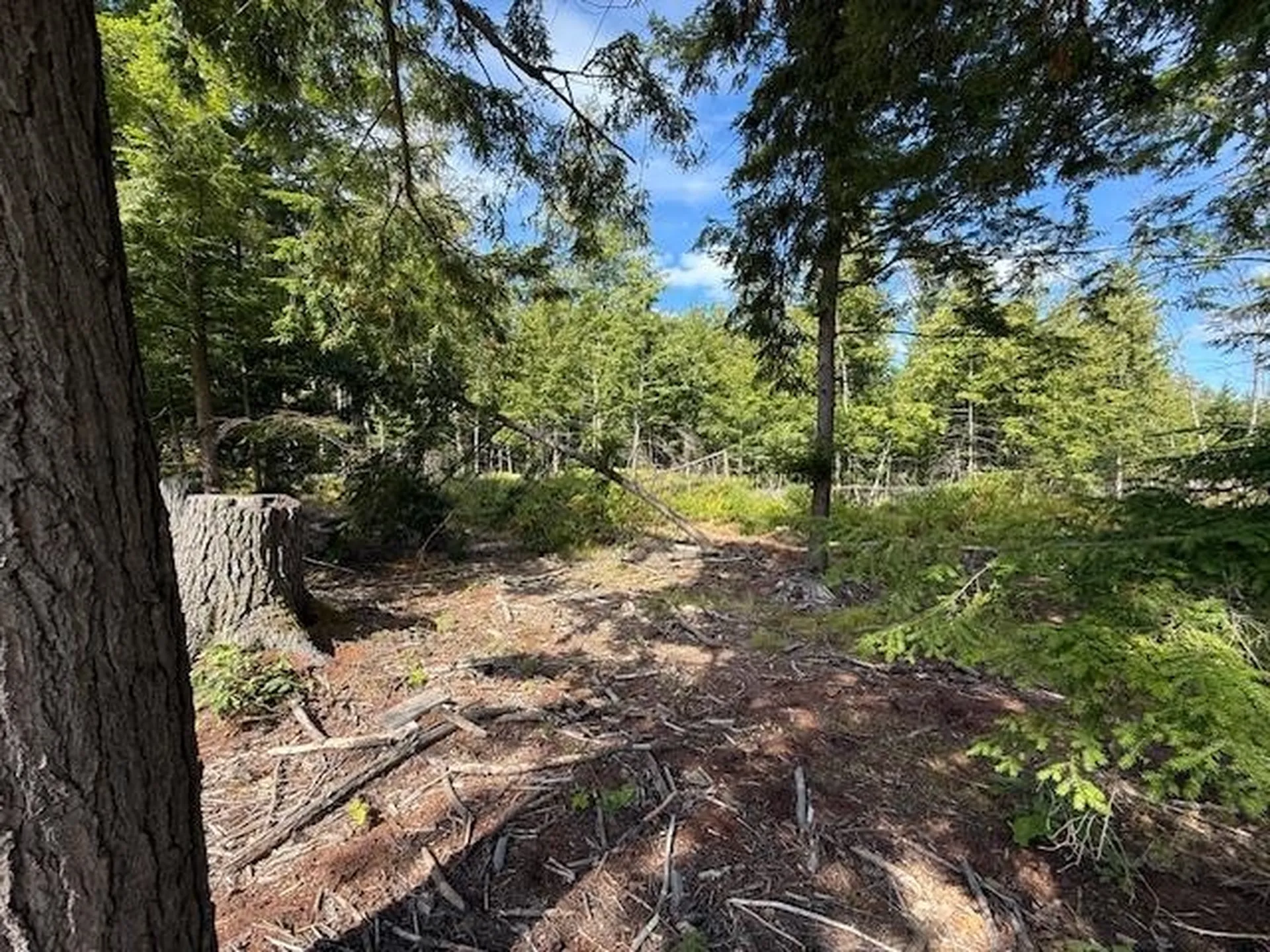 Pine Street Hopkinton NH 03229