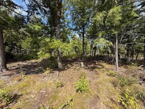 Pine Street Hopkinton NH 03229