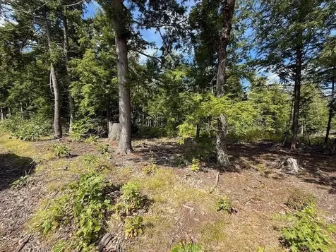 Pine Street Hopkinton NH 03229