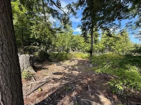 Pine Street Hopkinton NH 03229