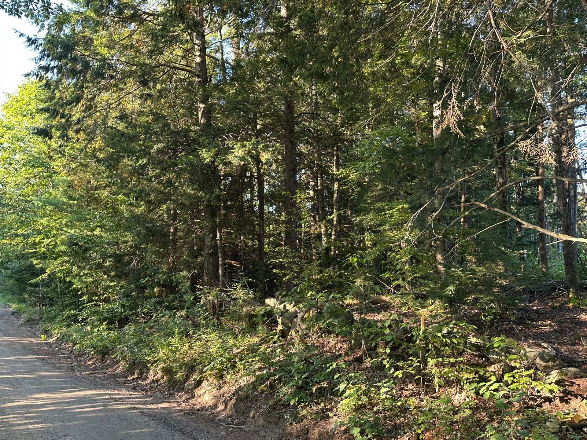 00 Berry Road New Durham NH 03855