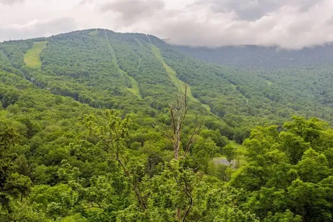69 Hourglass Drive Stowe VT 05672