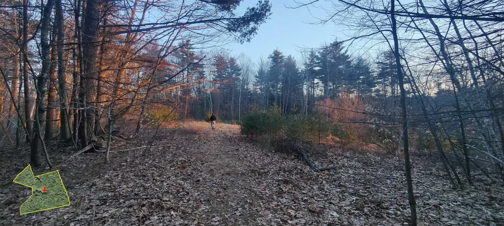 R5-20-1 266 Francestown Road Greenfield NH 03047