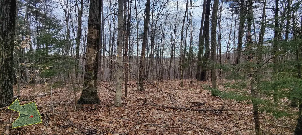 R5-20-1 266 Francestown Road Greenfield NH 03047