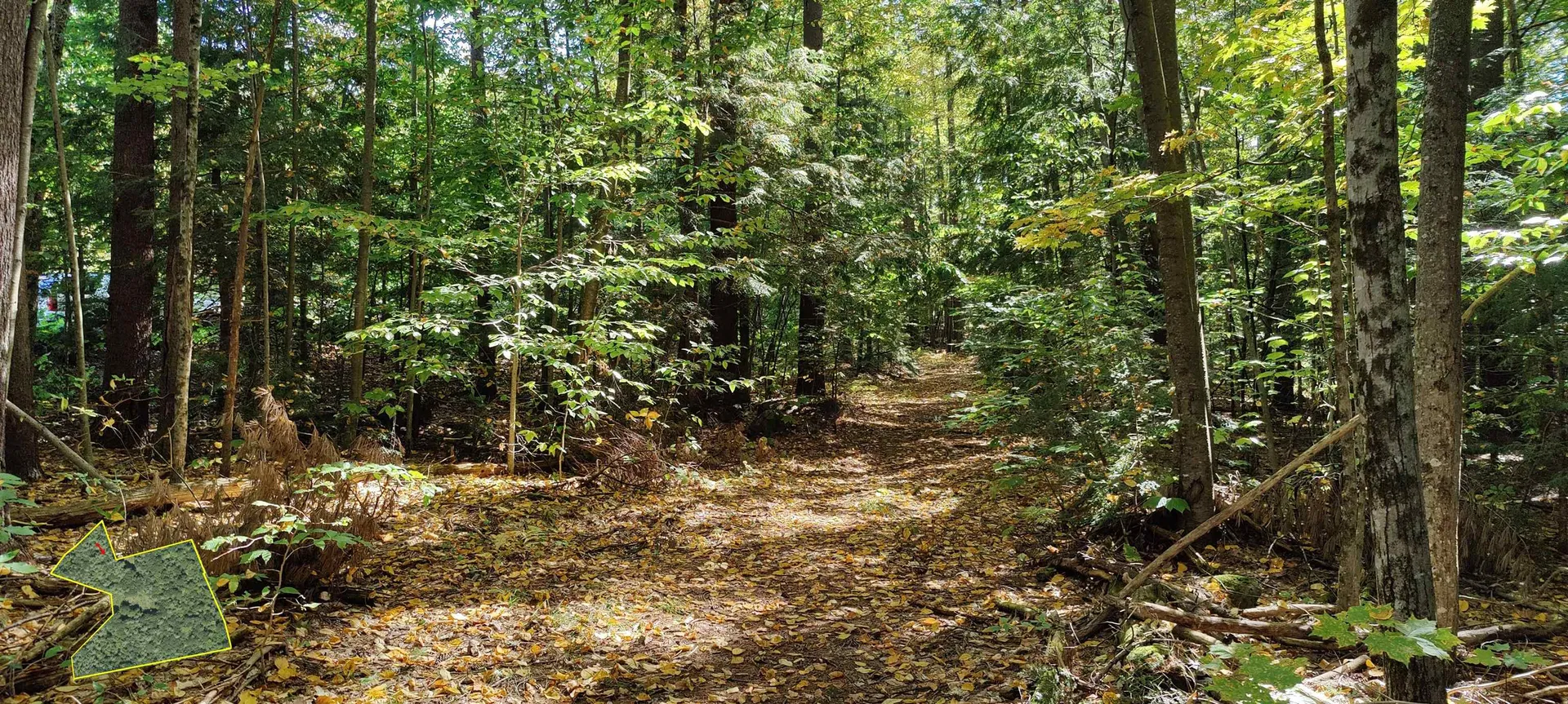 R5-20-1 266 Francestown Road Greenfield NH 03047