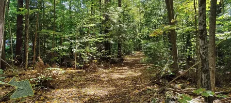 R5-20-1 266 Francestown Road Greenfield NH 03047