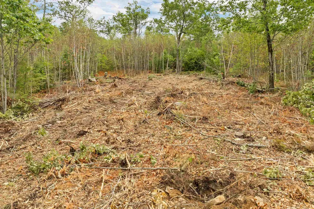 0 Long Stack Lane Wolfeboro NH 03894