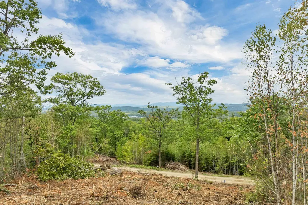 0 Long Stack Lane Wolfeboro NH 03894