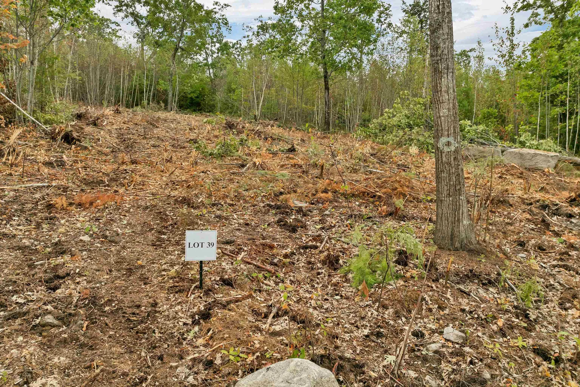 0 Long Stack Lane Wolfeboro NH 03894