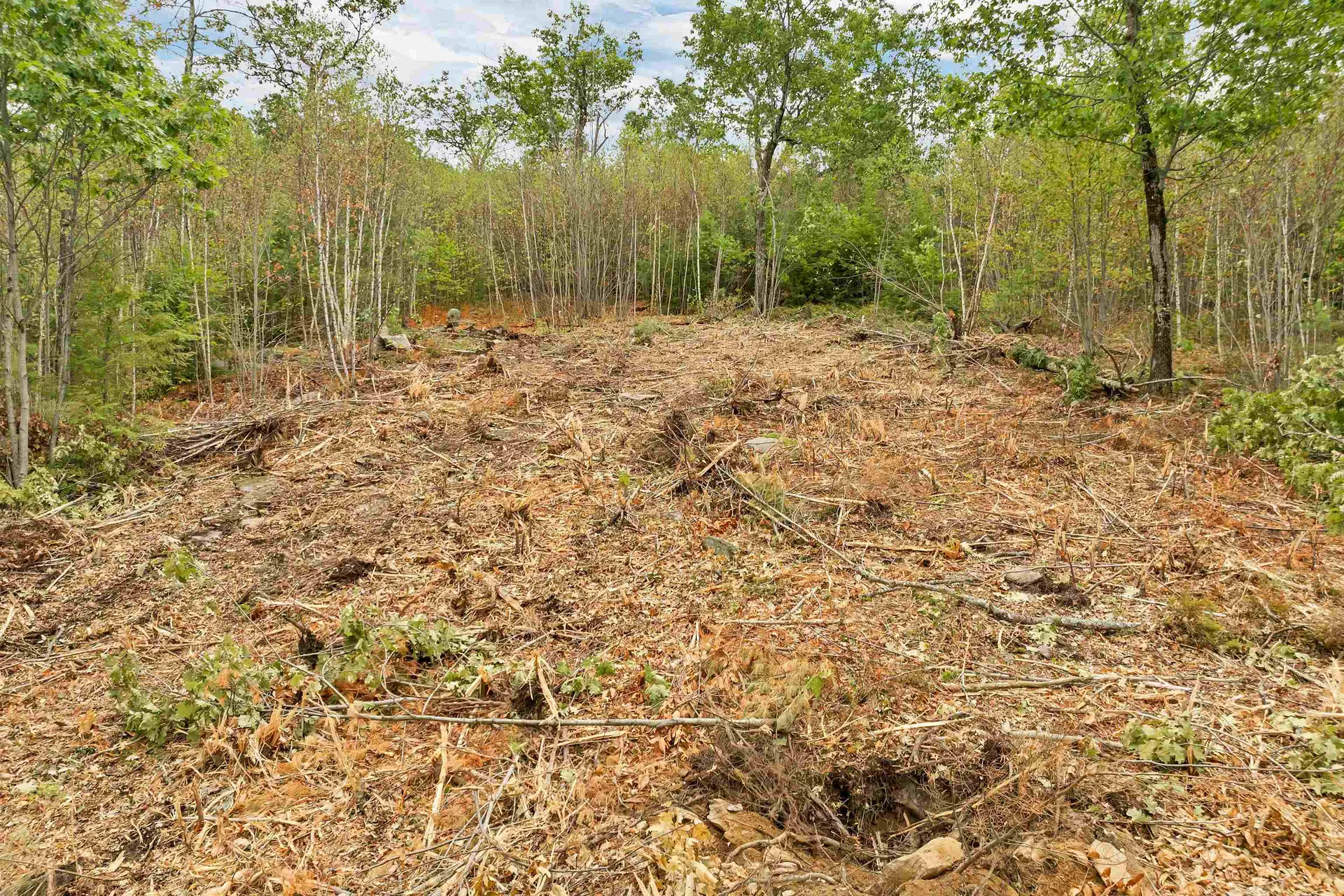 0 Long Stack Lane Wolfeboro NH 03894