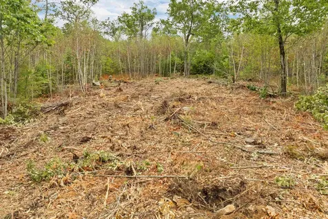 0 Long Stack Lane Wolfeboro NH 03894