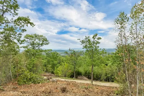 0 Long Stack Lane Wolfeboro NH 03894
