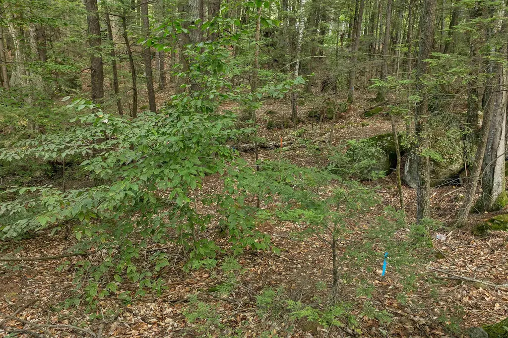 Lot 36 Mauhaut Shores Road Alton NH 03810