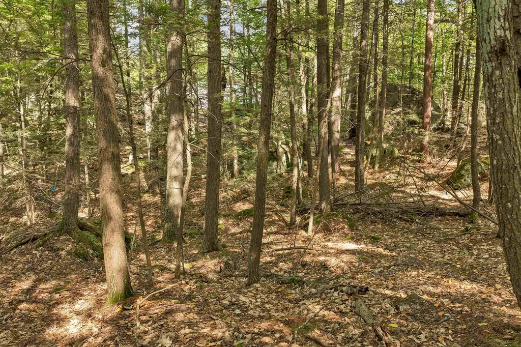 Lot 36 Mauhaut Shores Road Alton NH 03810