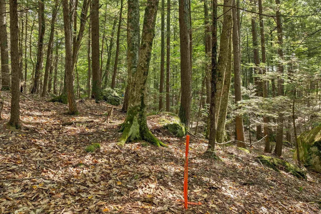 Lot 36 Mauhaut Shores Road Alton NH 03810