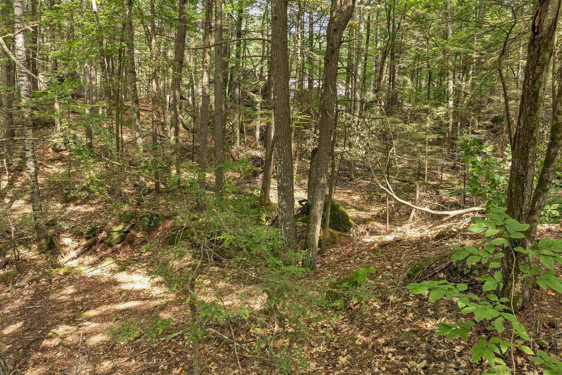 Lot 36 Mauhaut Shores Road Alton NH 03810