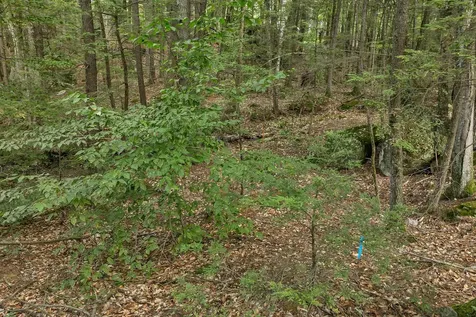 Lot 36 Mauhaut Shores Road Alton NH 03810