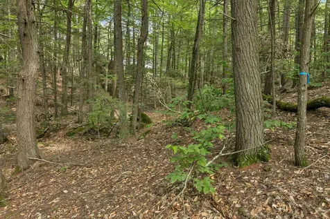 Lot 36 Mauhaut Shores Road Alton NH 03810