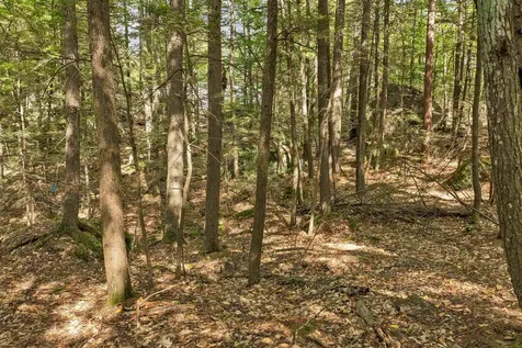 Lot 36 Mauhaut Shores Road Alton NH 03810