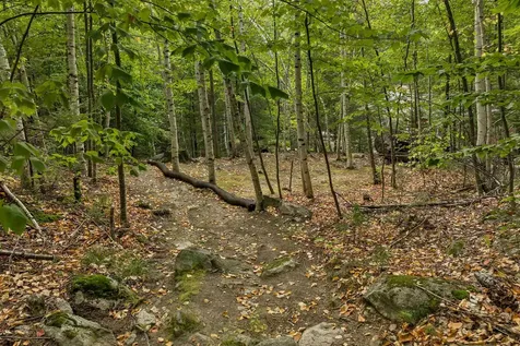 Lot 36 Mauhaut Shores Road Alton NH 03810