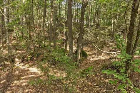 Lot 36 Mauhaut Shores Road Alton NH 03810