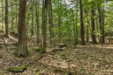 Lot 36 Mauhaut Shores Road Alton NH 03810