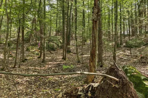 Lot 36 Mauhaut Shores Road Alton NH 03810