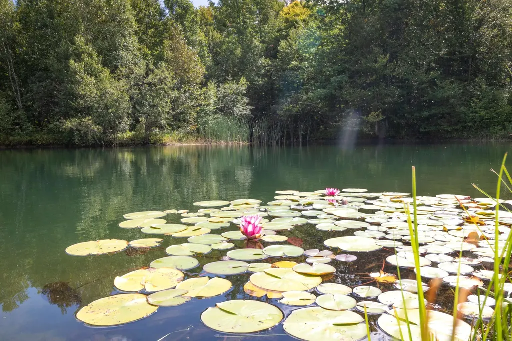 439 Stevens Mill Road Jay VT 05859