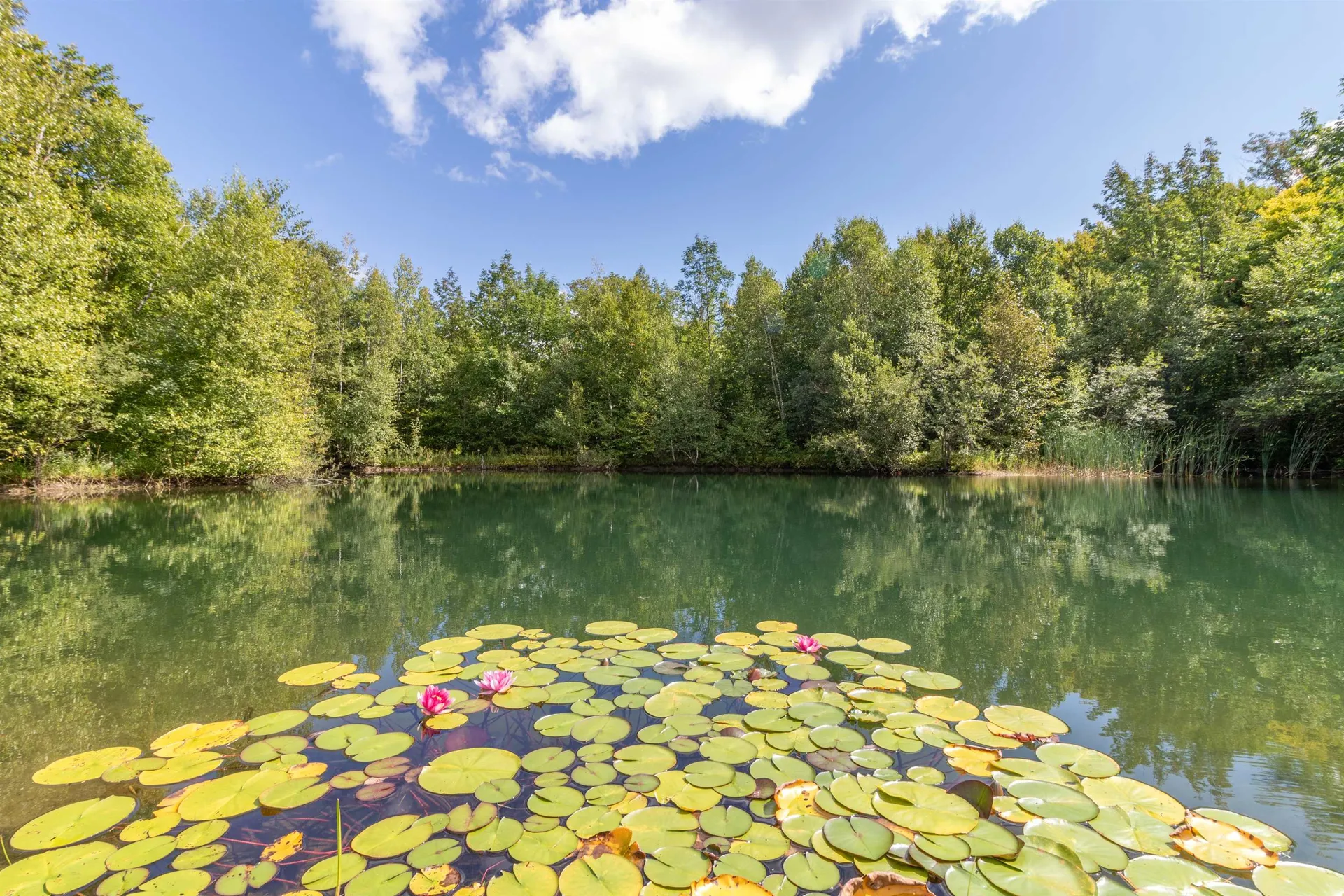 439 Stevens Mill Road Jay VT 05859