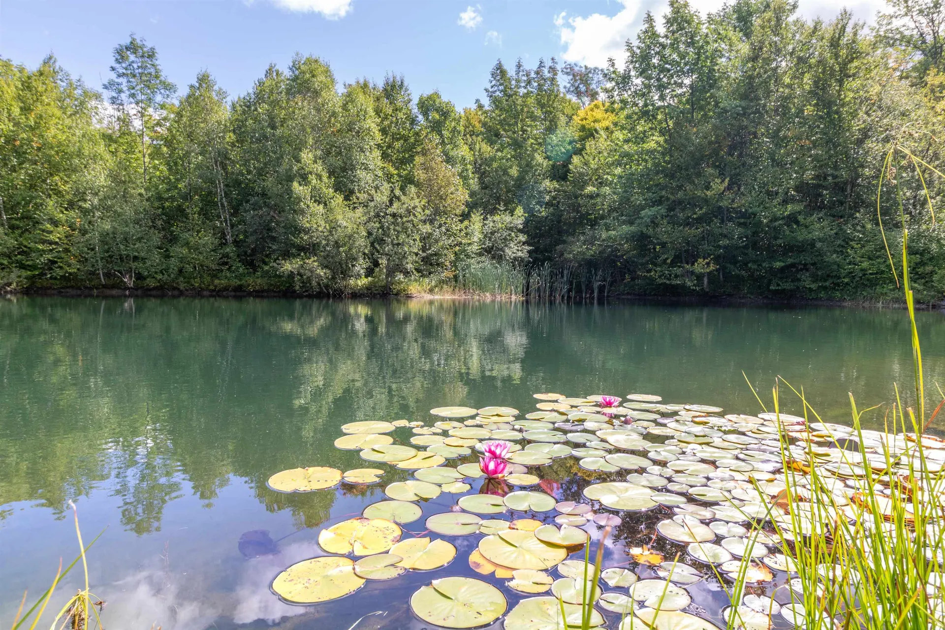 439 Stevens Mill Road Jay VT 05859