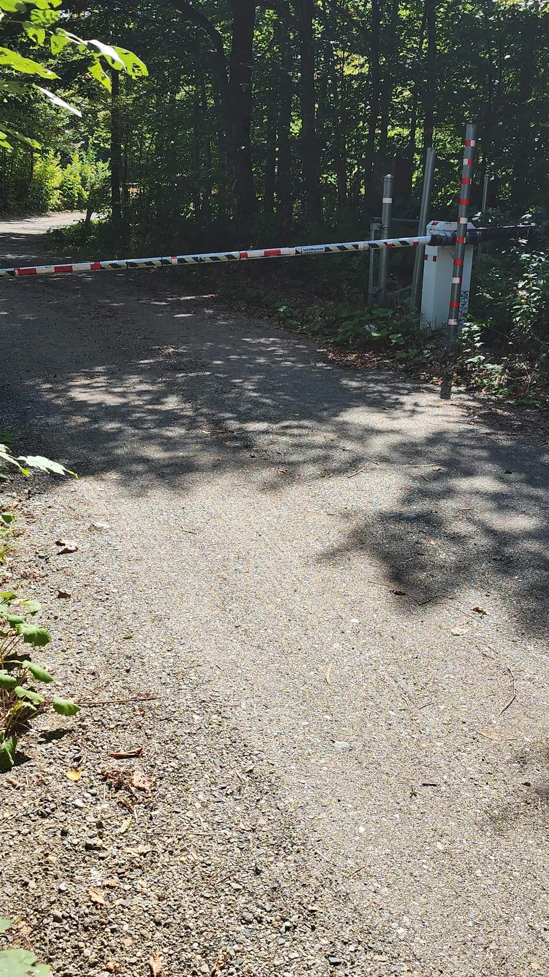 439 Stevens Mill Road Jay VT 05859