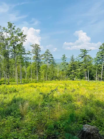 2024 Route 114 Bradford NH 03221-0000