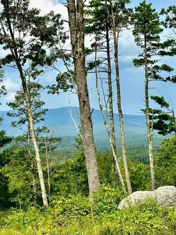 2024 Route 114 Bradford NH 03221-0000