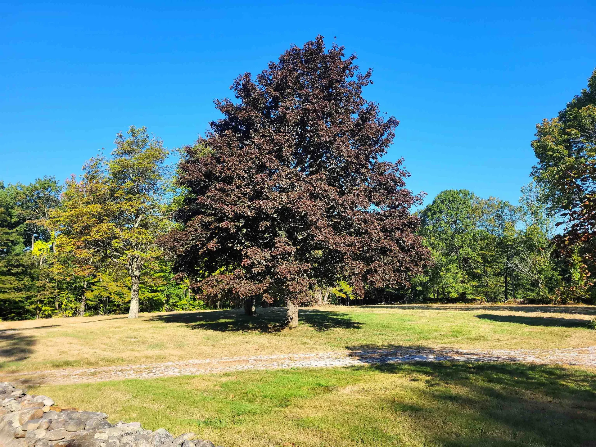 396 Flanders Memorial Road Weare NH 03281