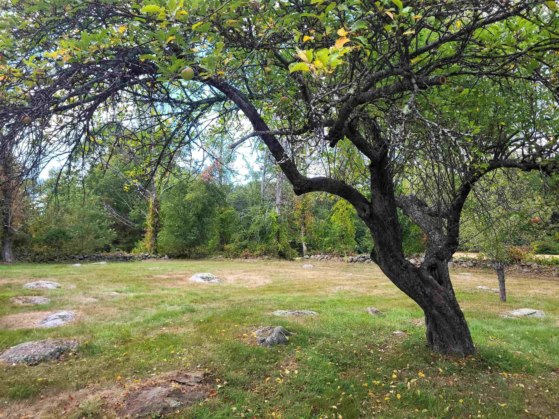 396 Flanders Memorial Road Weare NH 03281