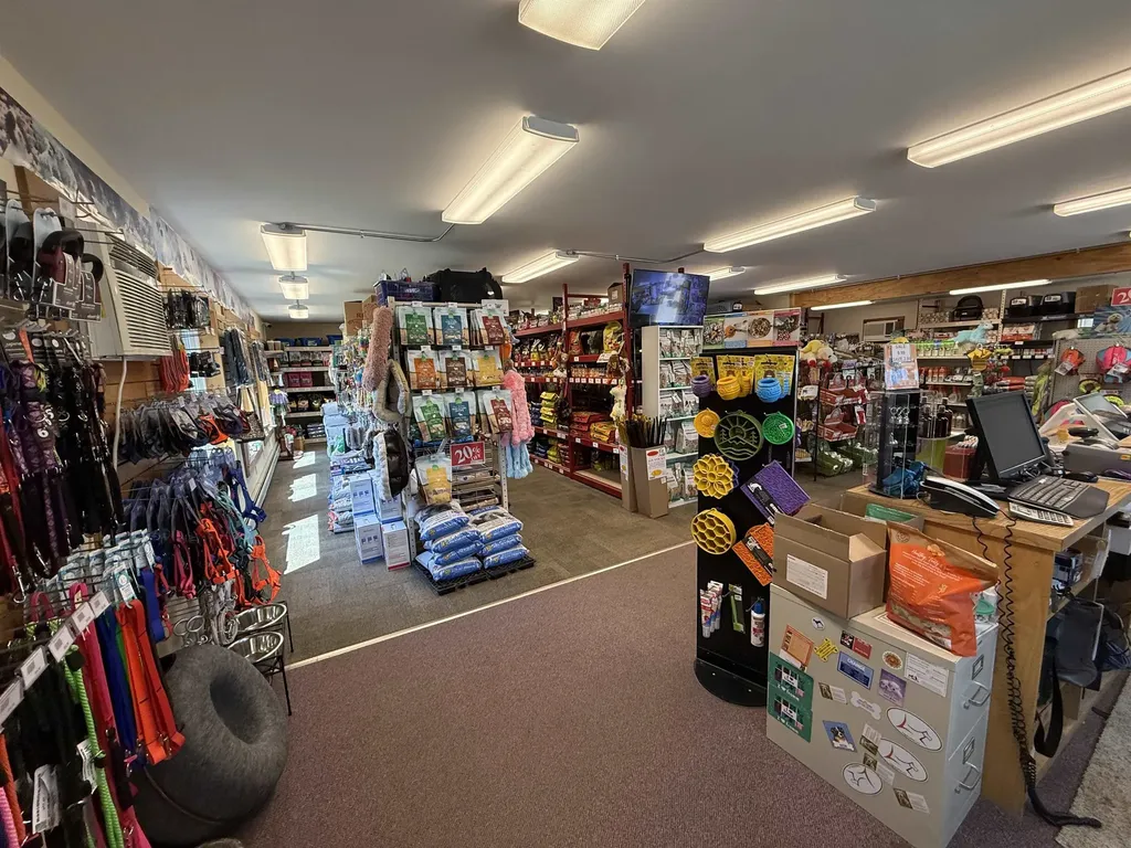 700 Route 4a West Castleton VT 05735