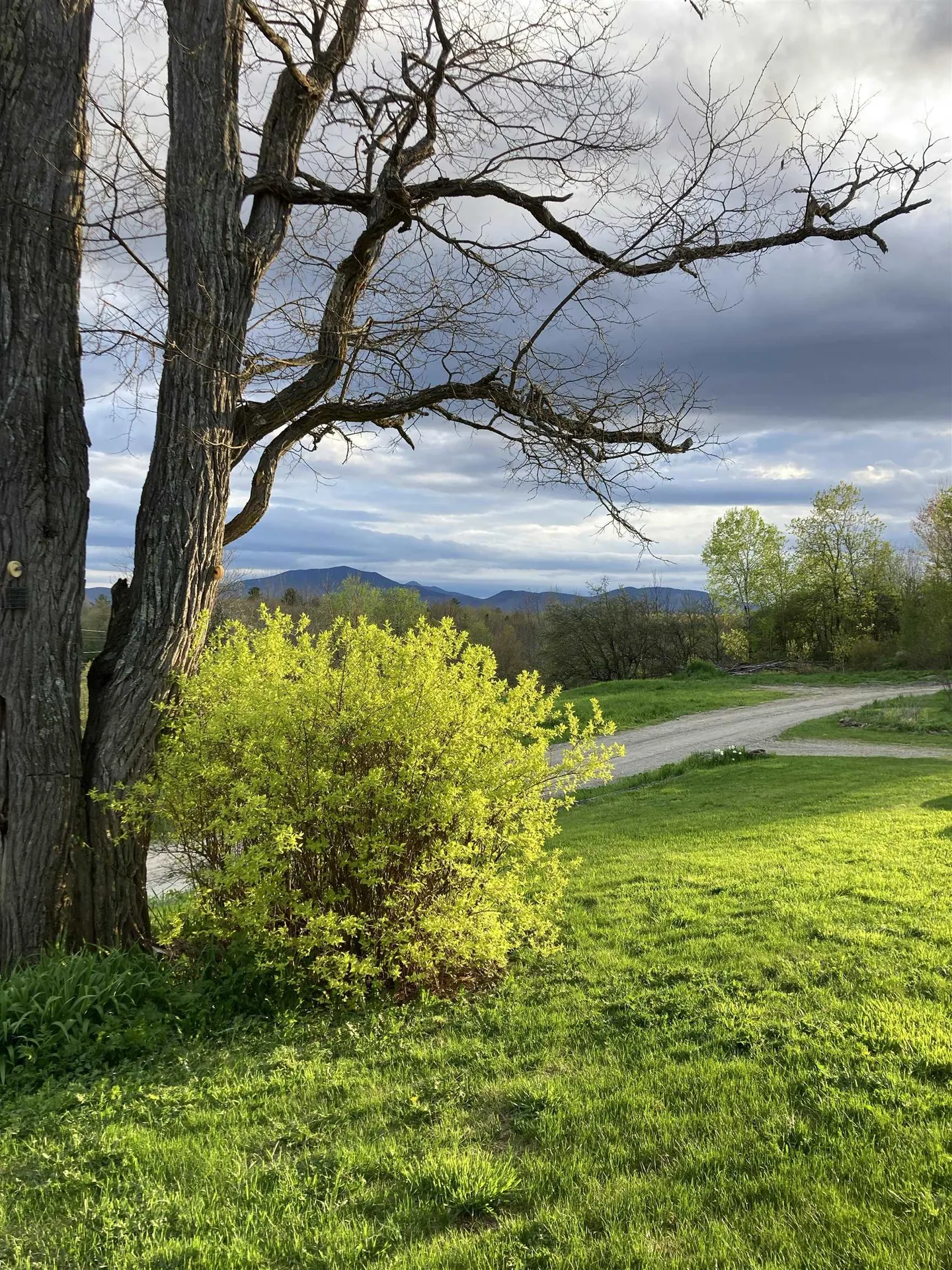 26 Carter Road Johnson VT 05656