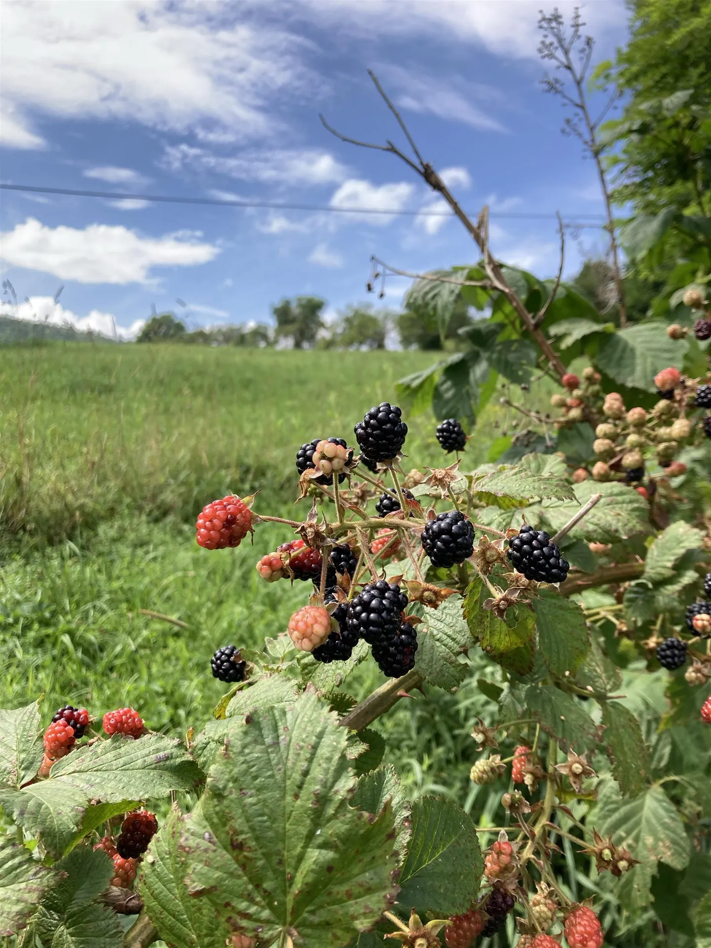 26 Carter Road Johnson VT 05656