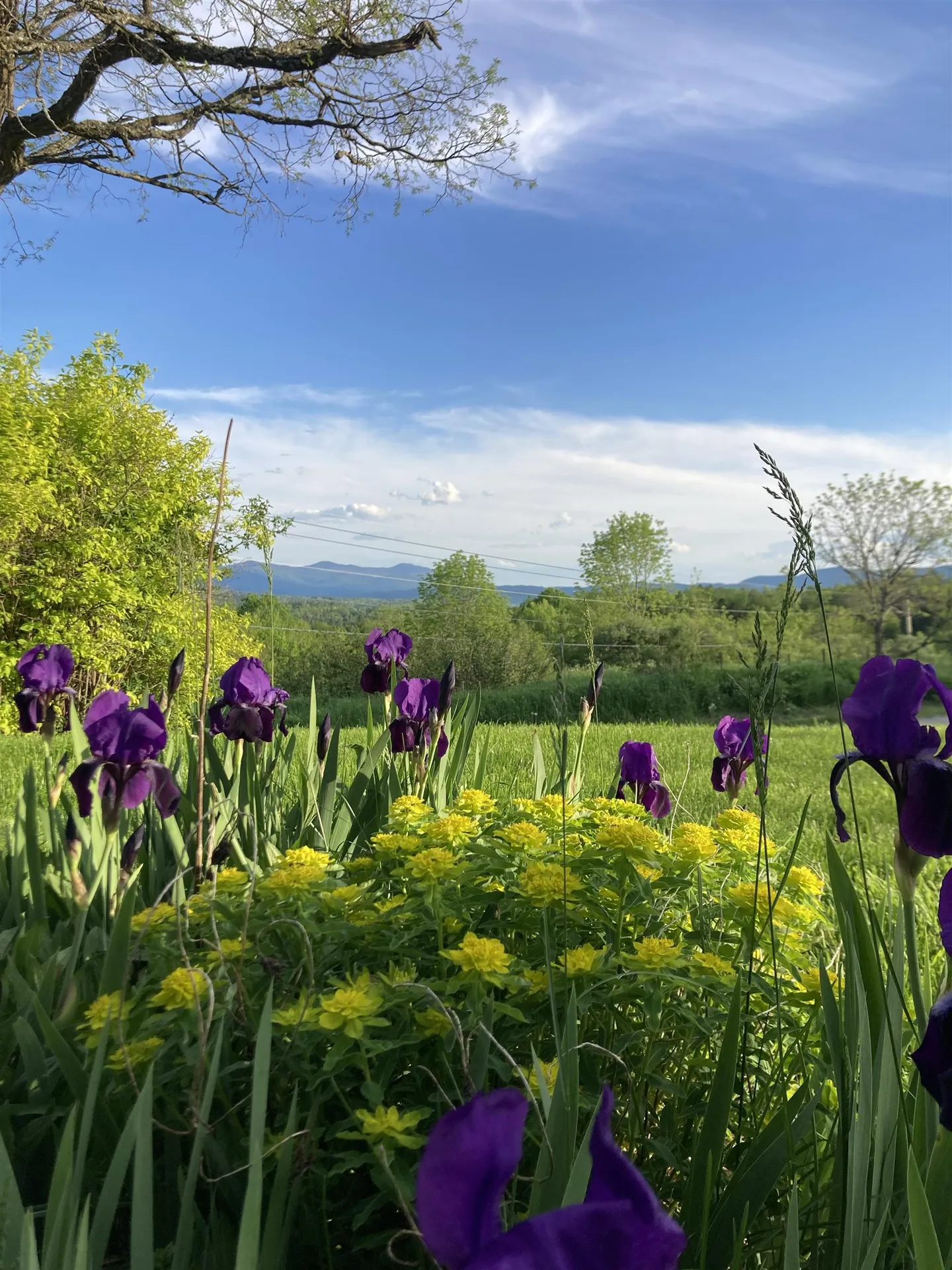 26 Carter Road Johnson VT 05656