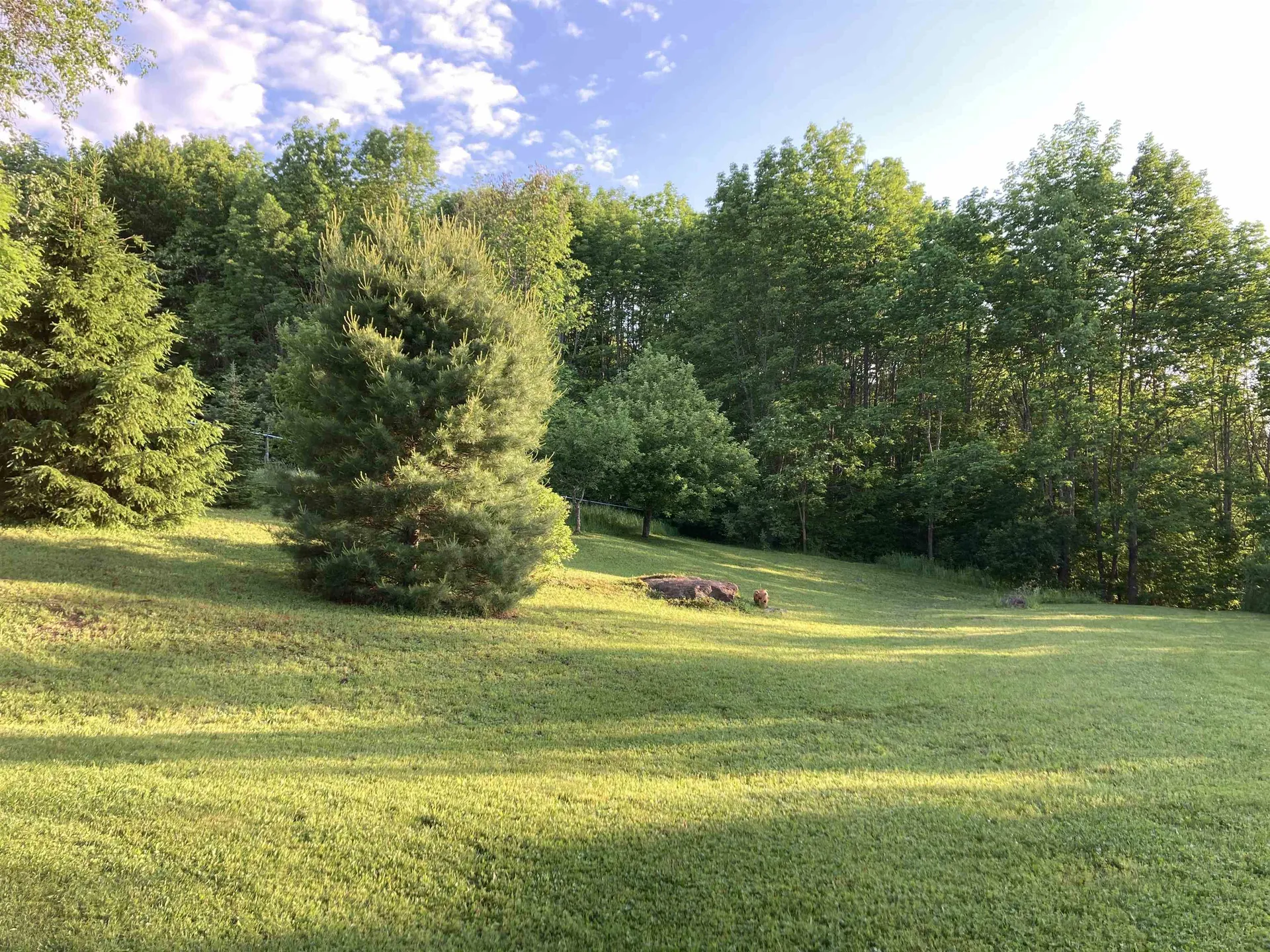 26 Carter Road Johnson VT 05656