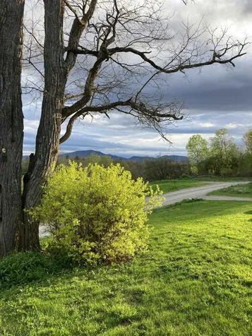 26 Carter Road Johnson VT 05656