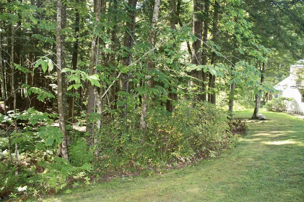 956 Butternut Hill Road Waitsfield VT 05673