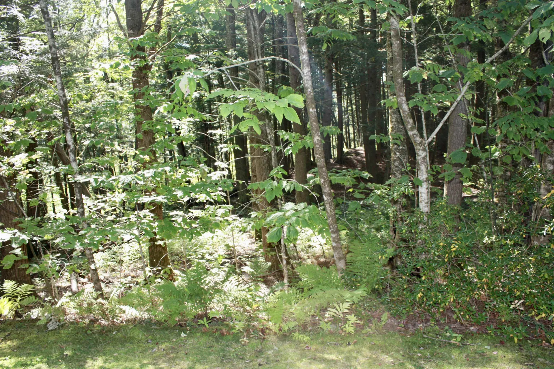 956 Butternut Hill Road Waitsfield VT 05673