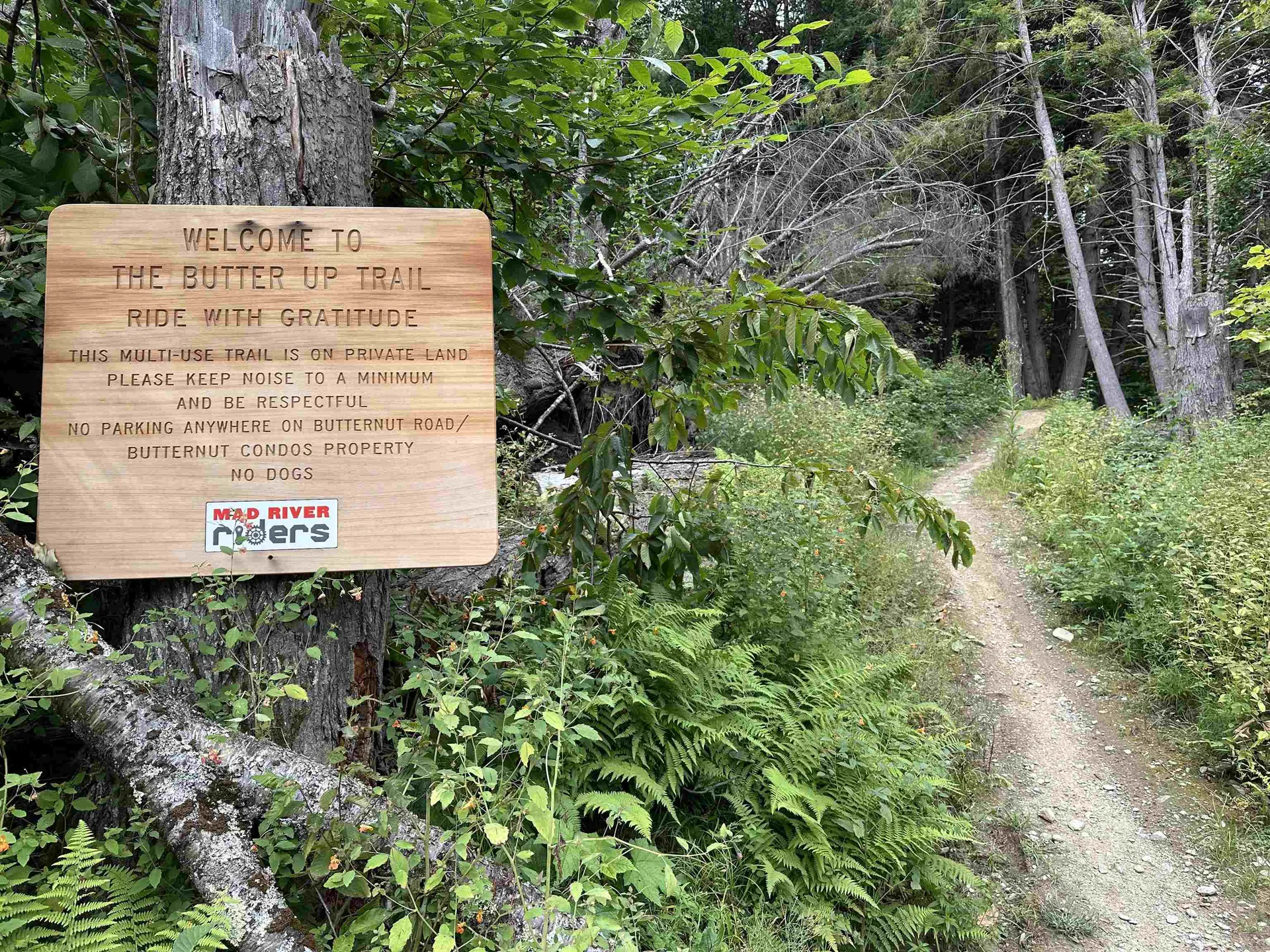 956 Butternut Hill Road Waitsfield VT 05673