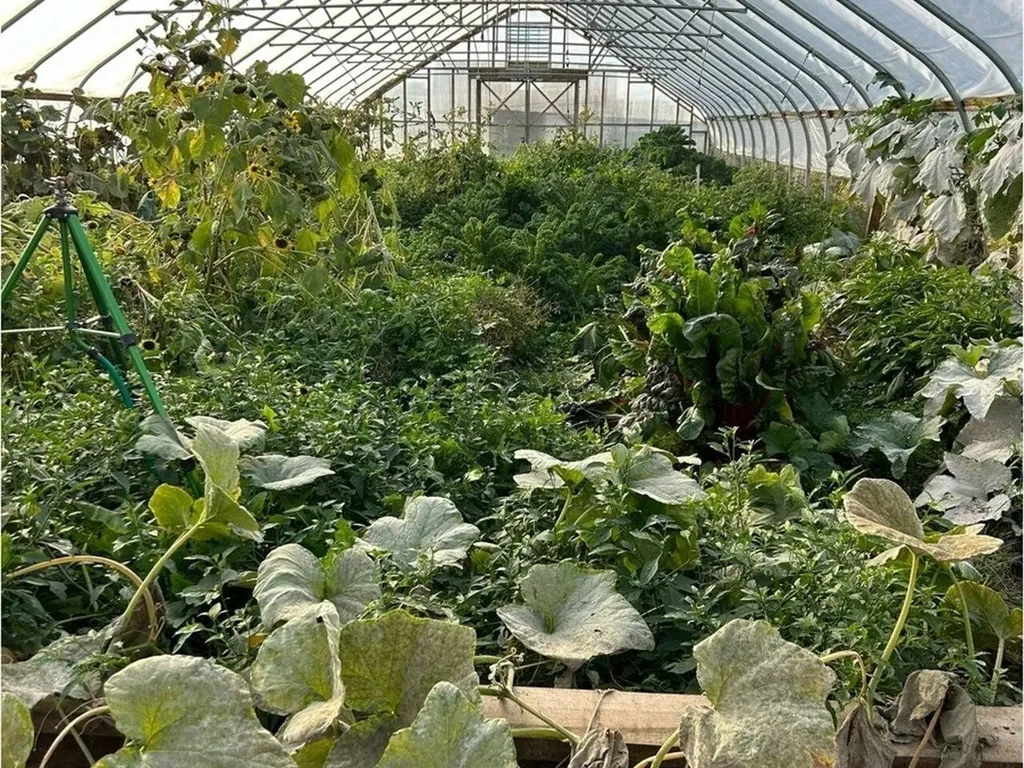 183 & 344 Morrie Road Washington VT 05675