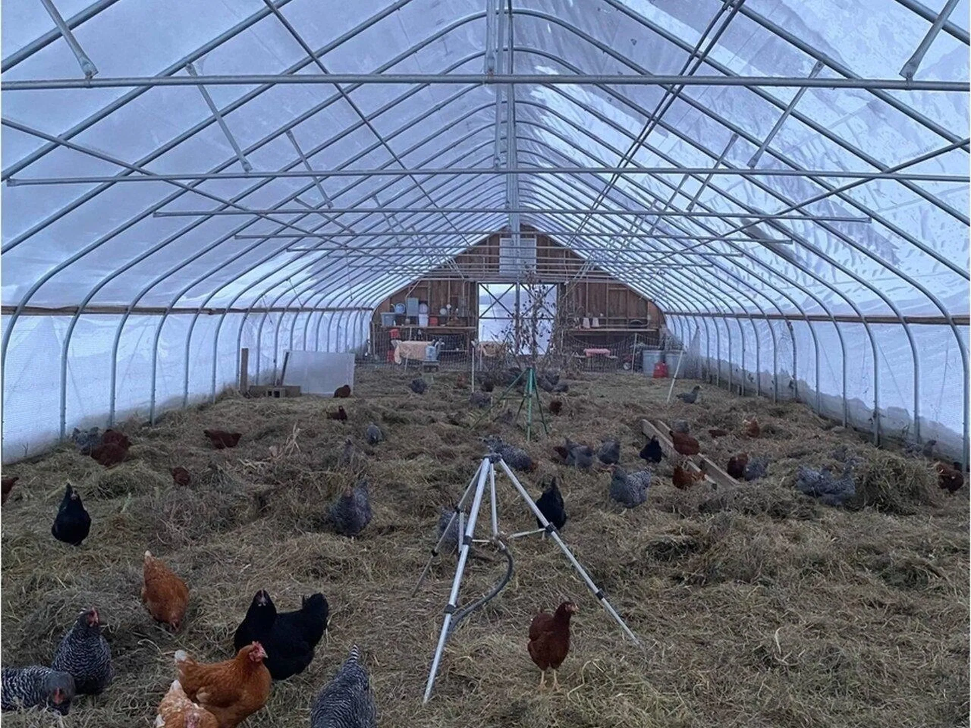 183 & 344 Morrie Road Washington VT 05675